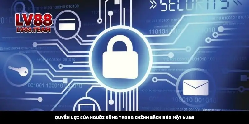Chính Sách Bảo Mật 2 Quyền lợi của người dùng trong chính sách bảo mật LV88